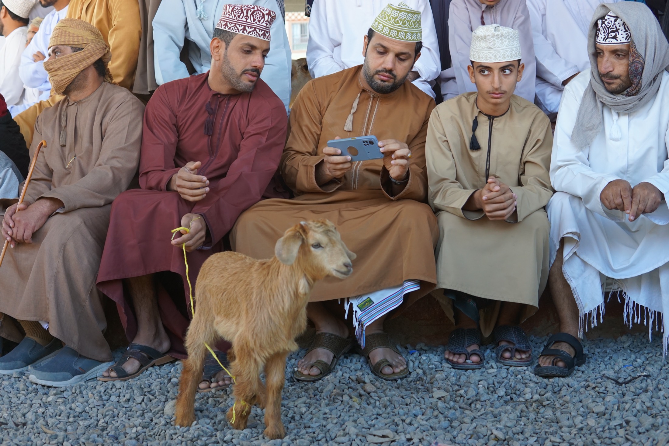 Men seated together at the goat market in Nizwa, a young goat standing in front of them